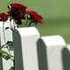 Illustration for article titled American Life Expectancy Continues to Drop, with Suicides and Drug Overdoses on the Rise